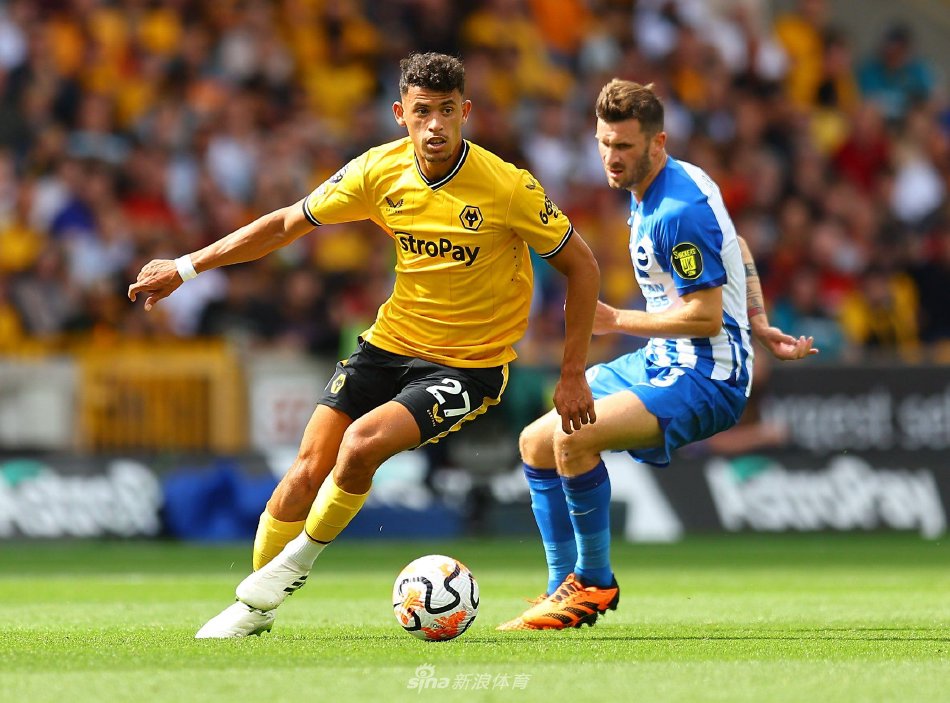 冠军争夺的 冠军争夺的